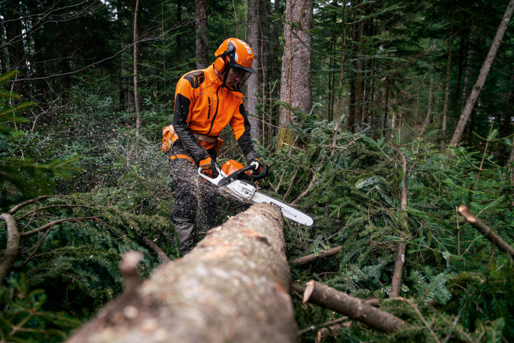 Timbershop