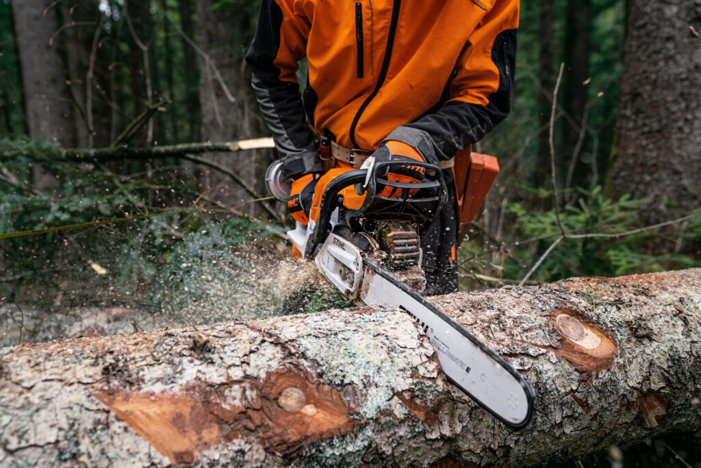 Timbershop