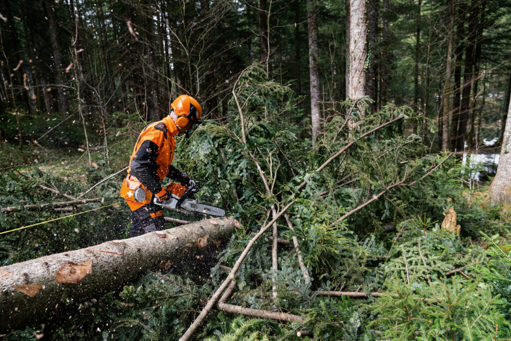 Timbershop