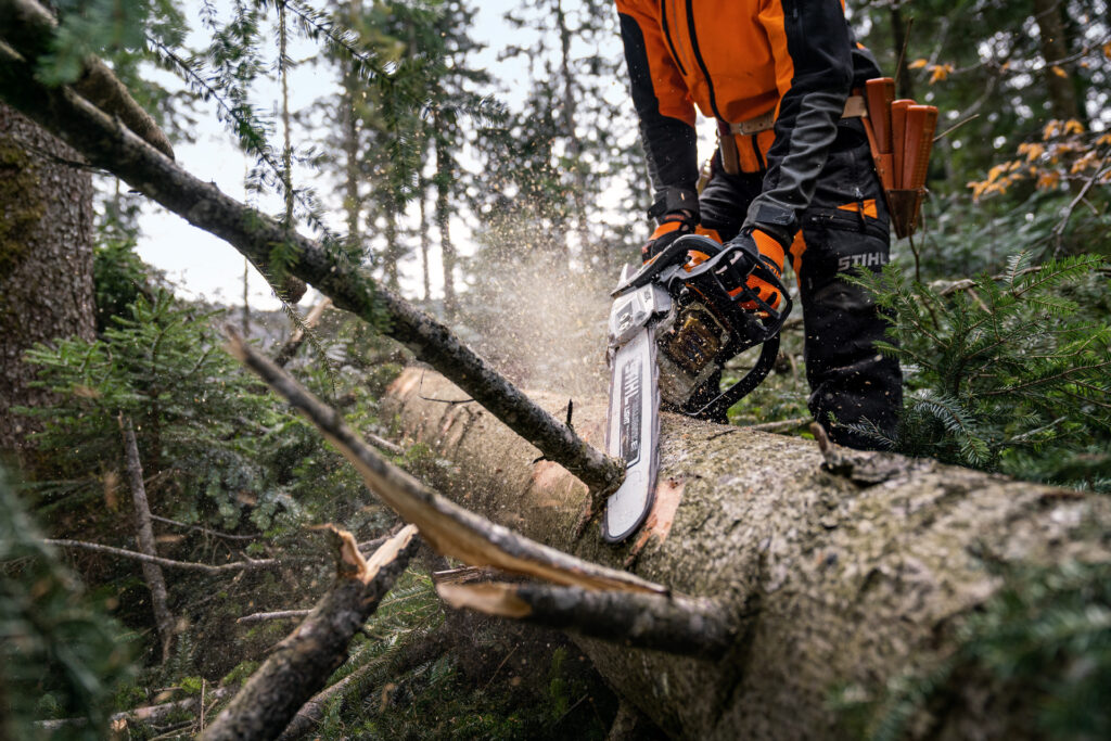 Timbershop