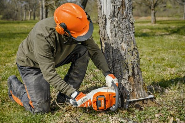stihl-msa220cm